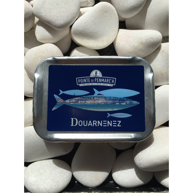 Les sardines ont repris du gras en baie de Douarnenez