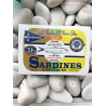 1/6 sardine olive & citron KERBRIANT