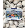 Sardine SNSM 2019