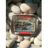Sardines d'argent 2016