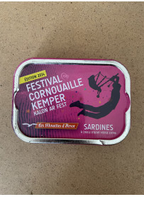 Festival Cornouaille Quimper 2014 - VIDE